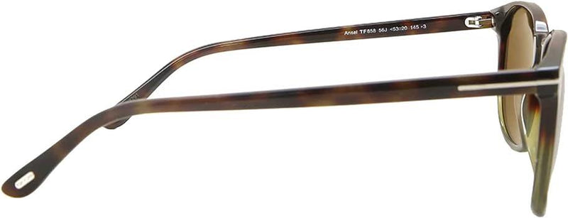 Tom Ford Ansel Round Havana Ladies Sunglasses FT0858/S-56J - WatchStatus Ltd