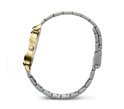 Wenger Vintage Classic Men's Watch Silver Two-Tone 01.1921.104