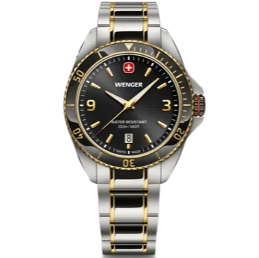 Wenger Executive Men's Watch Silver Black Dial 01.2031.104
