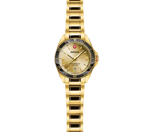Wenger Executive Men's Watch Gold 01.2031.108