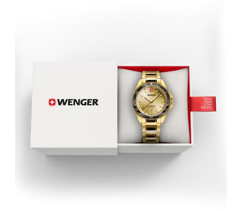 Wenger Executive Men's Watch Gold 01.2031.108