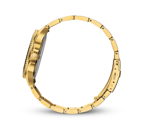 Wenger Executive Men's Watch Gold 01.2031.108